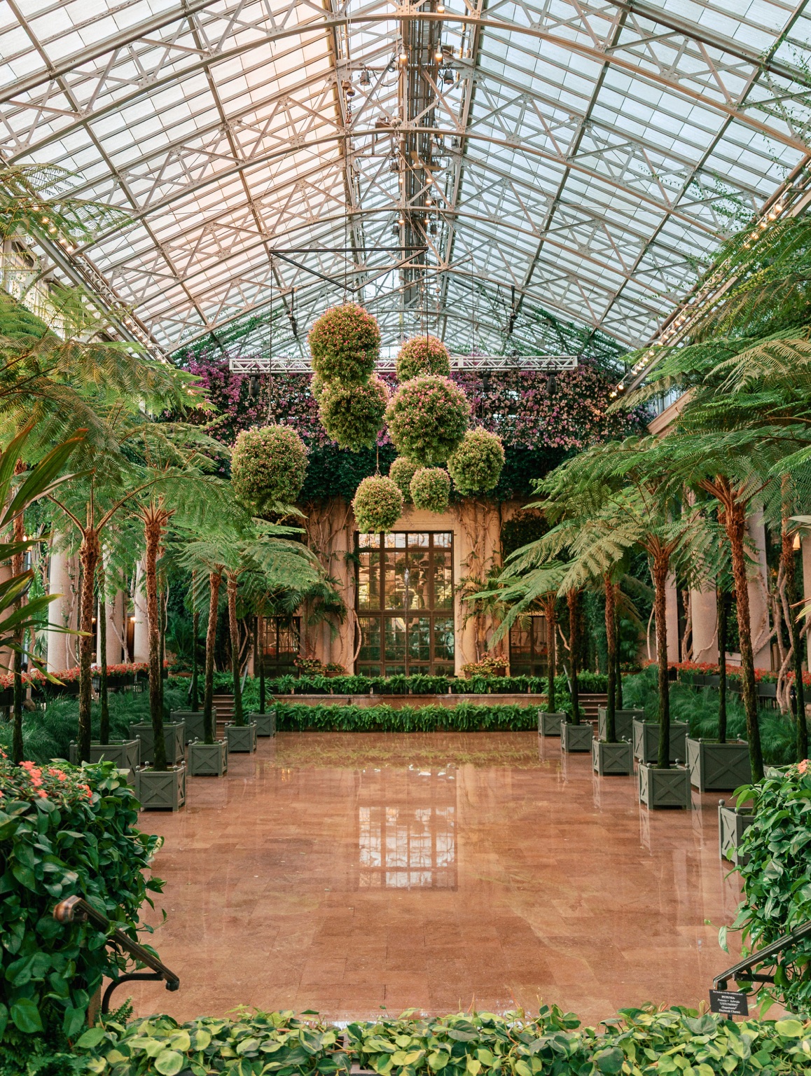 Hanging flowers and tree ferns beneath the glass roof of the conservatory at Longwood Gardens